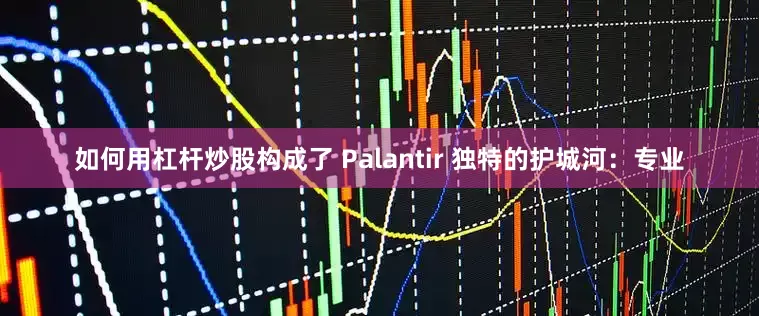 如何用杠杆炒股构成了 Palantir 独特的护城河：专业